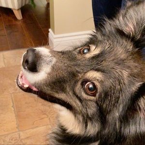 Meet your Posher, Catherine